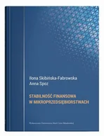 Ekonomia - Stabilność finansowa w mikroprzedsiębiorstwach - miniaturka - grafika 1