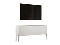 Szafki RTV - Szafka pod telewizor z kaszmiru z chromowanymi nogami, A: szer: 100 cm cm, wys: 52 cm, gł: 32 cm. Meble pod telewizor, stolik pod telewizor, ława pod telewizor - miniaturka - grafika 1