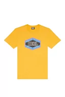 Koszulki męskie - Diesel T-diegor-e14 T-shirt męski, 21D-0 stopni, rozmiar L - miniaturka - grafika 1