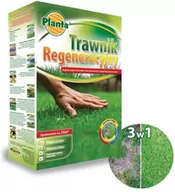 Nasiona i cebule - Trawnik regeneracyjny z nawozem 1 kg - miniaturka - grafika 1