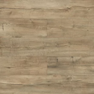 Panele podłogowe laminowane Dąb Sodova AC6 10 mm Promo Flooring 5903693126765 - Panele podłogowe - miniaturka - grafika 1