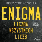 Audiobooki - kryminał, sensacja, thriller - Enigma: liczba wszystkich liczb - miniaturka - grafika 1