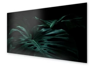 Panel kuchenny HOMEPRINT Liście monstera w mroku 120x60 cm - Dekoracje domu - miniaturka - grafika 1