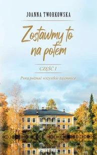 Novae Res Zostawmy to na potem Joanna Tworkowska - Literatura obyczajowa - miniaturka - grafika 2