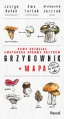 Poradniki hobbystyczne - Grzybownik + mapa - miniaturka - grafika 1