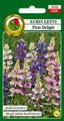 Nasiona i cebule - Łubin Letni Pixie Delight Mieszany 5 g PNOS - miniaturka - grafika 1