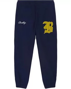 AMERICAN COLLEGE USA Spodnie dresowe męskie, Granatowy, S - Spodnie sportowe męskie - miniaturka - grafika 1
