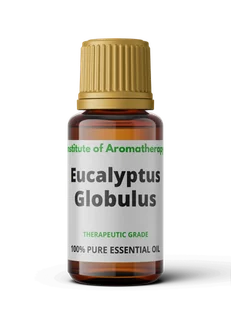 Olejek eteryczny EUKALIPTUS GLOBULUS organiczny - bóle mięśni i stawów - Aromaterapia - miniaturka - grafika 1