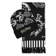 Gadżety dla graczy - Harry Potter - Domy Hogwartu - zestaw prezentowy - miniaturka - grafika 1