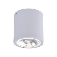 Lampy ogrodowe - Oprawa natynkowa zewnętrzna spot LED 7W GEORG 9673-16 Paul Neuhaus - miniaturka - grafika 1