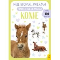 Wilga Moje kochane zwierzaki Konie - Poradniki hobbystyczne - miniaturka - grafika 1