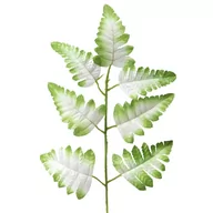 Sztuczne kwiaty - Liść Paproci Ozdobny Kremowo-Zielony - miniaturka - grafika 1