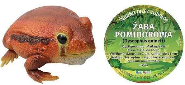 *****Żaba pomidorowa 27cm 21484 14840****