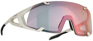 Alpina Alpina Hawkeye QV Glasses, szary  2022 Okulary 8689521 - Okulary sportowe - miniaturka - grafika 1