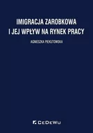 Ekonomia - Imigracja zarobkowa i jej wpływ na rynek pracy - miniaturka - grafika 1