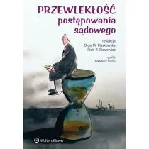 Piaskowska Olga Maria, Piesiewicz Piotr Przewlekłość postępowania sądowego - dostępny od ręki, natychmiastowa wysyłka