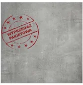 Budowa OUTLET - Gres 20mm Urban Grey 60x60x2cm Gat. II /PAKIET - 14,4M2/ - miniaturka - grafika 1