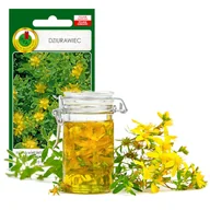 Nasiona i cebule - DZIURAWIEC ZIOŁA NASIONA ZIÓŁ BEZ GMO - miniaturka - grafika 1