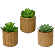 Sztuczne kwiaty - Sztuczna roślinka zielona mała w doniczce 10cm - miniaturka - grafika 1