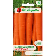 Nasiona i cebule - Legutko Marchew jadalna Amsterdam 2 5+1g Gratis - miniaturka - grafika 1