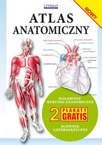 Atlas anatomiczny - Książki medyczne - miniaturka - grafika 1