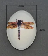Półfabrykaty do biżuterii - [04602] Kaboszon z obrazkiem 18*25mm ważka - miniaturka - grafika 1