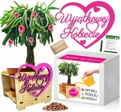 Nasiona i cebule - Zestaw do Uprawy PITAJA SMOCZY OWOC Dzień Kobiet - miniaturka - grafika 1