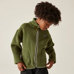 Dare 2b Polar dziecięcy Zesty II Zielony, Rozmiar: 164 cm - Bluzy dla chłopców - miniaturka - grafika 1