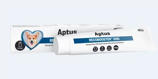 Aptus Recobooster DOG 100 g - Suplementy i witaminy dla psów - miniaturka - grafika 1