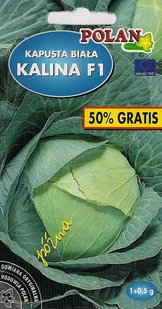 Kapusta głowiasta biała Kalina F1 0.5 g POLAN - Nasiona i cebule - miniaturka - grafika 1