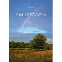 Pan Huśtawka - Literatura obyczajowa - miniaturka - grafika 1