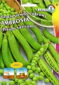 Nasiona i cebule - Groch cukrowy Ambrosia 50g / L / - miniaturka - grafika 1