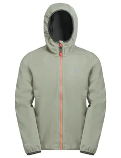 Jack Wolfskin FELDBERG bluza z kapturem JKT K - Kurtki i płaszcze dla chłopców - miniaturka - grafika 1