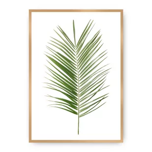Dekoria Dekoria Plakat Palm Leaf Green 21 x 30 cm Ramka Złota 218A-000-06 - Plakaty - miniaturka - grafika 1