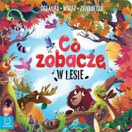 Pedagogika i dydaktyka - Co zobaczę w lesie Oglądaj wskaż zapamiętaj Nowa - miniaturka - grafika 1