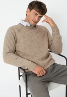 Swetry męskie - Sweter z wełną S-CLIMB - miniaturka - grafika 1