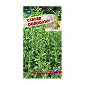 Nasiona i cebule - Cząber ogrodowy 1g / O / - miniaturka - grafika 1