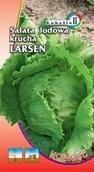 Nasiona i cebule - Sałata krucha Larsen 1g / L / - miniaturka - grafika 1