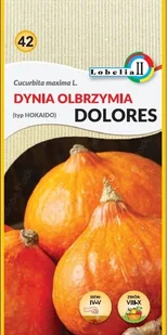 Dynia olbrzymia Dolores 2g / L / - Nasiona i cebule - miniaturka - grafika 1