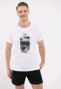 Szorty plażowe, Regular Fit, P-MAXIN - Kąpielówki męskie - miniaturka - grafika 1