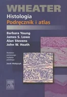 Podręczniki dla szkół wyższych - Urban & Partner Wheater Histologia Podręcznik i atlas - Barbara Young, Lowe James S., Alan Stevens, Heath John W. - miniaturka - grafika 1
