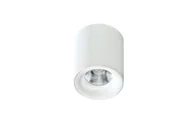 Lampy sufitowe - Azzardo MANE AZ4324 downlight natynkowy 1x10W/LED IP20 AZ4324 - miniaturka - grafika 1