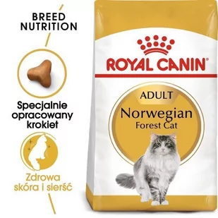Royal Canin Norwegian Forest Adult 0,4 kg - Sucha karma dla kotów - miniaturka - grafika 1