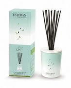 Świece - Esteban Paris Pałeczki zapachowe 100 ml Esteban Pur Lin - miniaturka - grafika 1