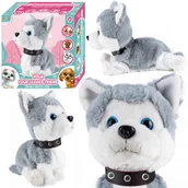 Zabawki interaktywne dla dzieci - Pies Interaktywny Piesek Husky Reaguje Na Dotyk U487 - miniaturka - grafika 1