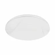 Lampy ścienne - Plafon ALLISTER 36W LED + pilot - miniaturka - grafika 1