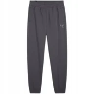 Dresy męskie - Spodnie męskie Puma Better Essentials szare 676816 69 S - miniaturka - grafika 1
