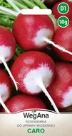 Nasiona i cebule - Rzodkiewka Caro 10g nasiona - WegAna - miniaturka - grafika 1