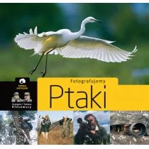 Multico Grzegorz i Tomasz Kłosowscy Fotografujemy ptaki - Poradniki hobbystyczne Multico Grzegorz i Tomasz Kłosowscy Fotografujemy ptaki - Poradniki hobbystyczne - miniaturka - grafika 1