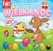 Czasopisma - Fakt Naklejki - miniaturka - grafika 1